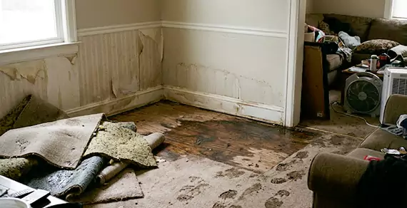 Why Choose Colorado Springs Water Cleanup For Water Damage Restoration Services in Colorado Springs, CO?