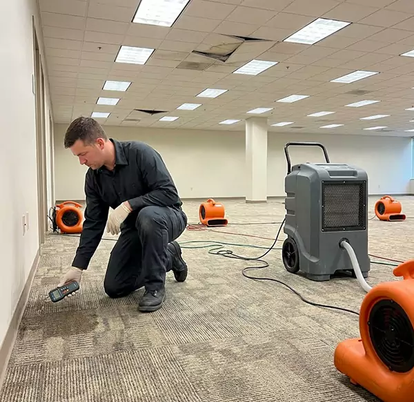 Why Businesses Choose Colorado Springs Water Cleanup for Commercial Water Damage in Colorado Springs, CO?