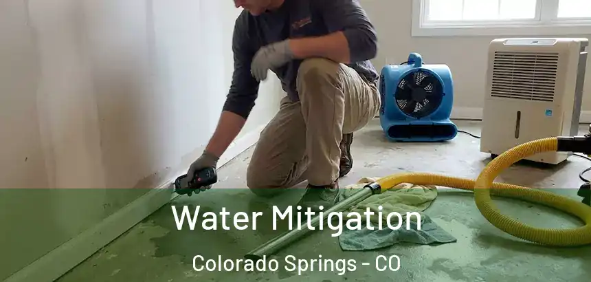  Water Mitigation Colorado Springs - CO